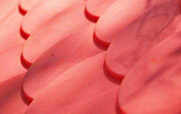 Chilton Polden plastic roof costs